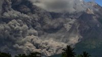 Update Terkini Status Gunung Merapi Hari Ini